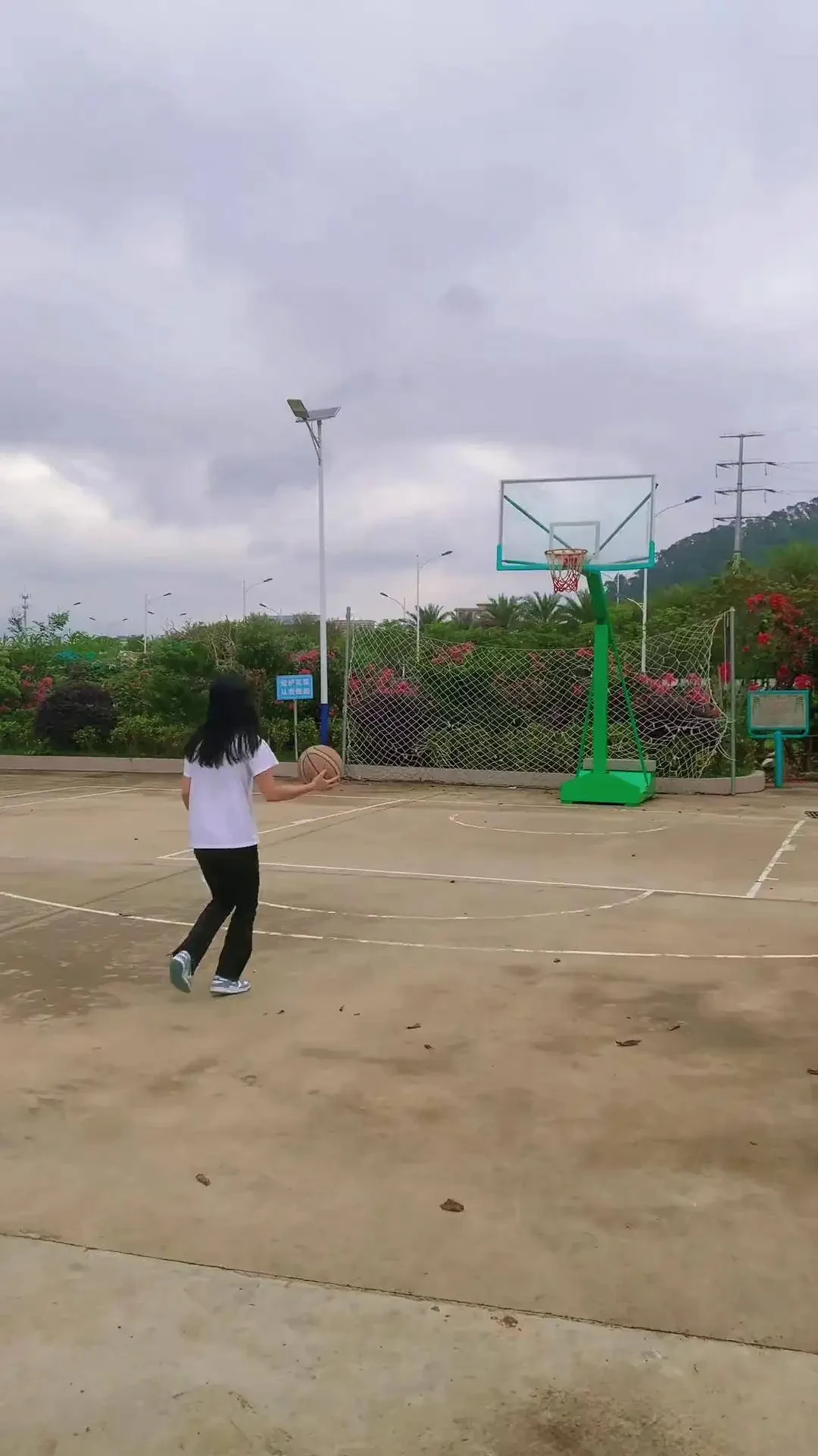 青少年篮球训练的影响因素及对策研究_2
